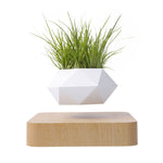 Load image into Gallery viewer, floating Plant Pot
