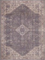 Load image into Gallery viewer, Seok Washable Area Rug
