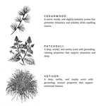 Load image into Gallery viewer, Embers + Leather - Vetiver + Cedar + Patchouli
