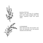 Load image into Gallery viewer, Eucalyptus + Lavender - Signature Candle
