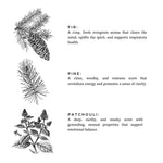 Load image into Gallery viewer, Forest Bathing - Signature Candle (Fir + Pine + Patchouli)
