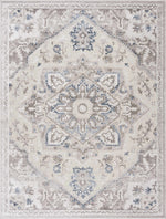 Load image into Gallery viewer, Bakir Area Rug
