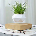 Load image into Gallery viewer, Floating Levitating Magnetic Plant Pot
