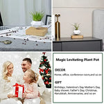 Load image into Gallery viewer, Floating Levitating Magnetic Plant Pot
