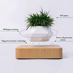 Load image into Gallery viewer, Floating Levitating Magnetic Plant Pot

