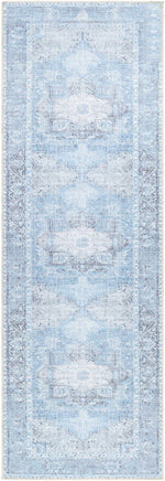 Load image into Gallery viewer, Aqua Rosman Washable Area Rug
